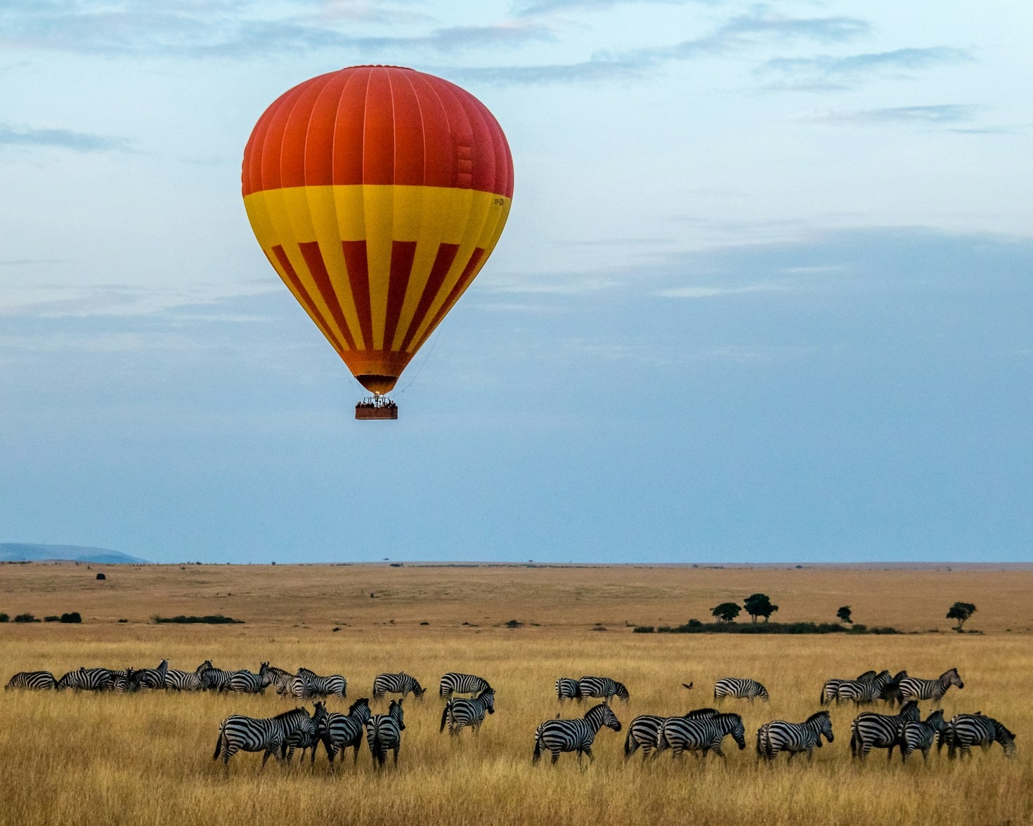 Planning the Perfect Kenyan Safari Adventure