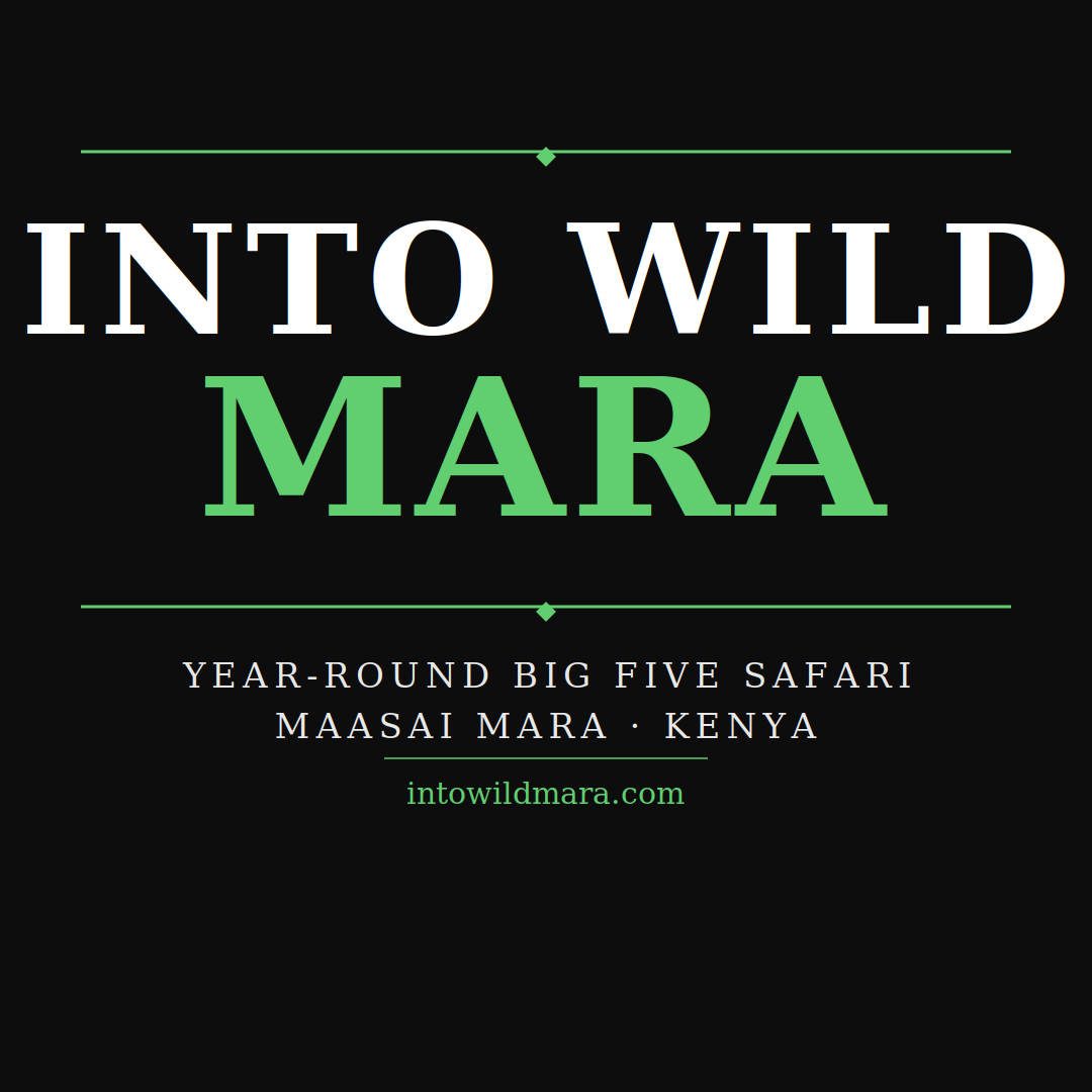 IntoWildMara